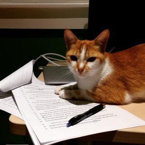 Write, revise, pet the cat, submit, repeat.